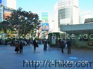 RIMG0343