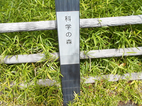 DSCN9665