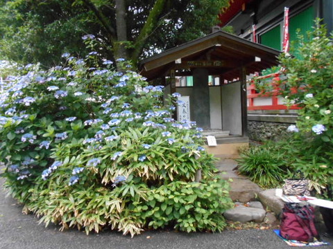 DSCN2771