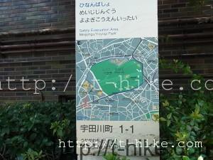 RIMG0361