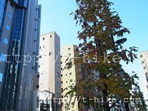 RIMG0010
