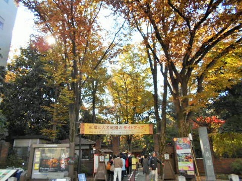 DSCN0632