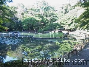 RIMG0077