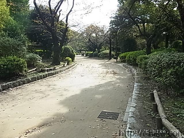 RIMG0697