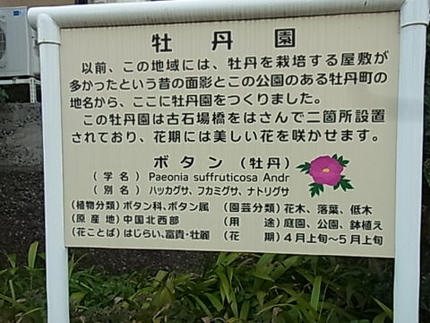 RIMG0623