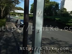 RIMG0058