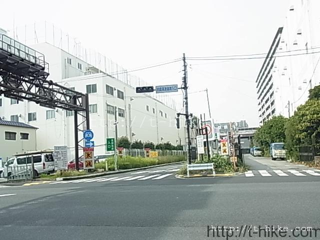 RIMG0650