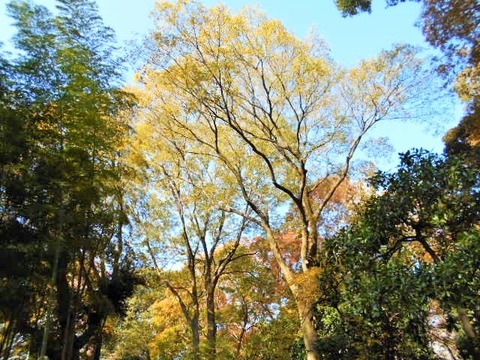 DSCN0652