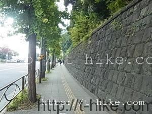 RIMG0204