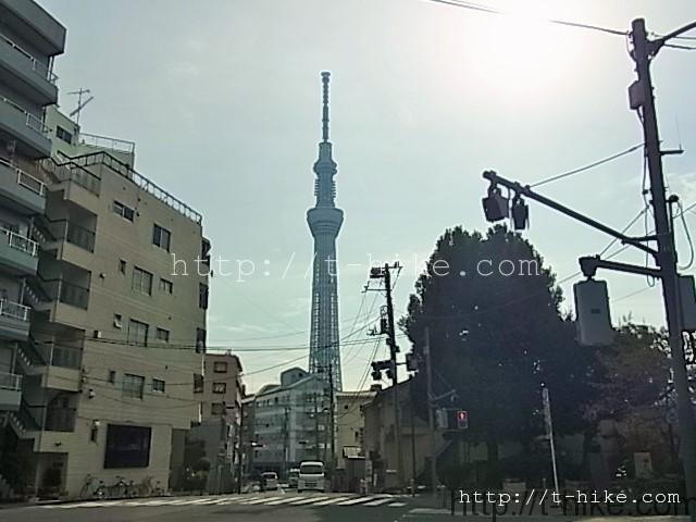 RIMG0664