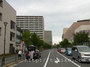 RIMG0553
