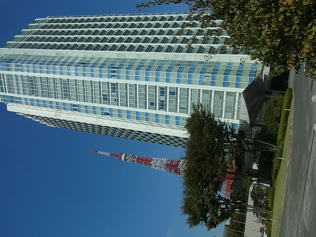 RIMG0294