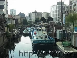 RIMG0347