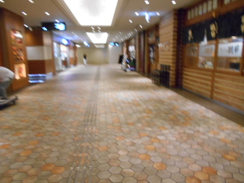 DSCN2638