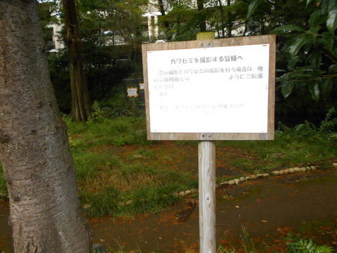 DSCN9679