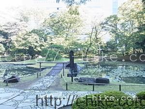 RIMG0071