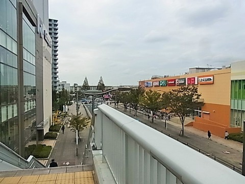 RIMG0827