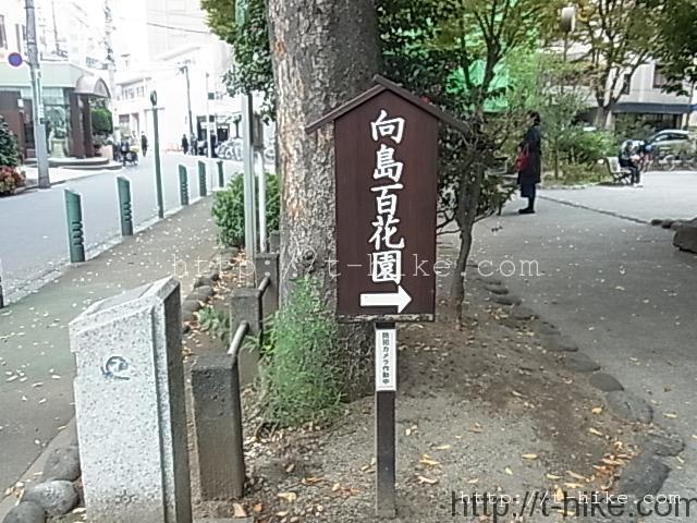 RIMG0601