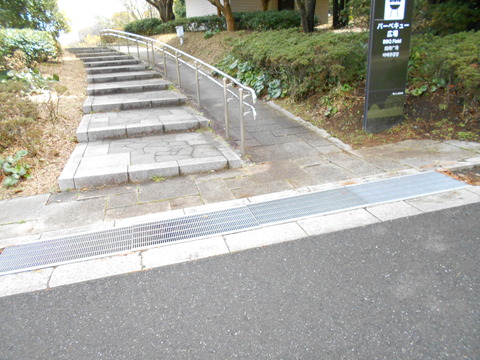 DSCN6708