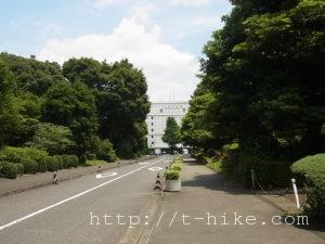 RIMG0224