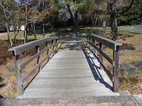 DSCN4800 (1)