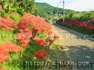 RIMG0692