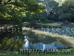 RIMG0082