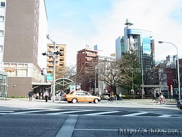 RIMG0231