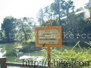 RIMG0393