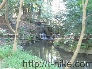 RIMG0068