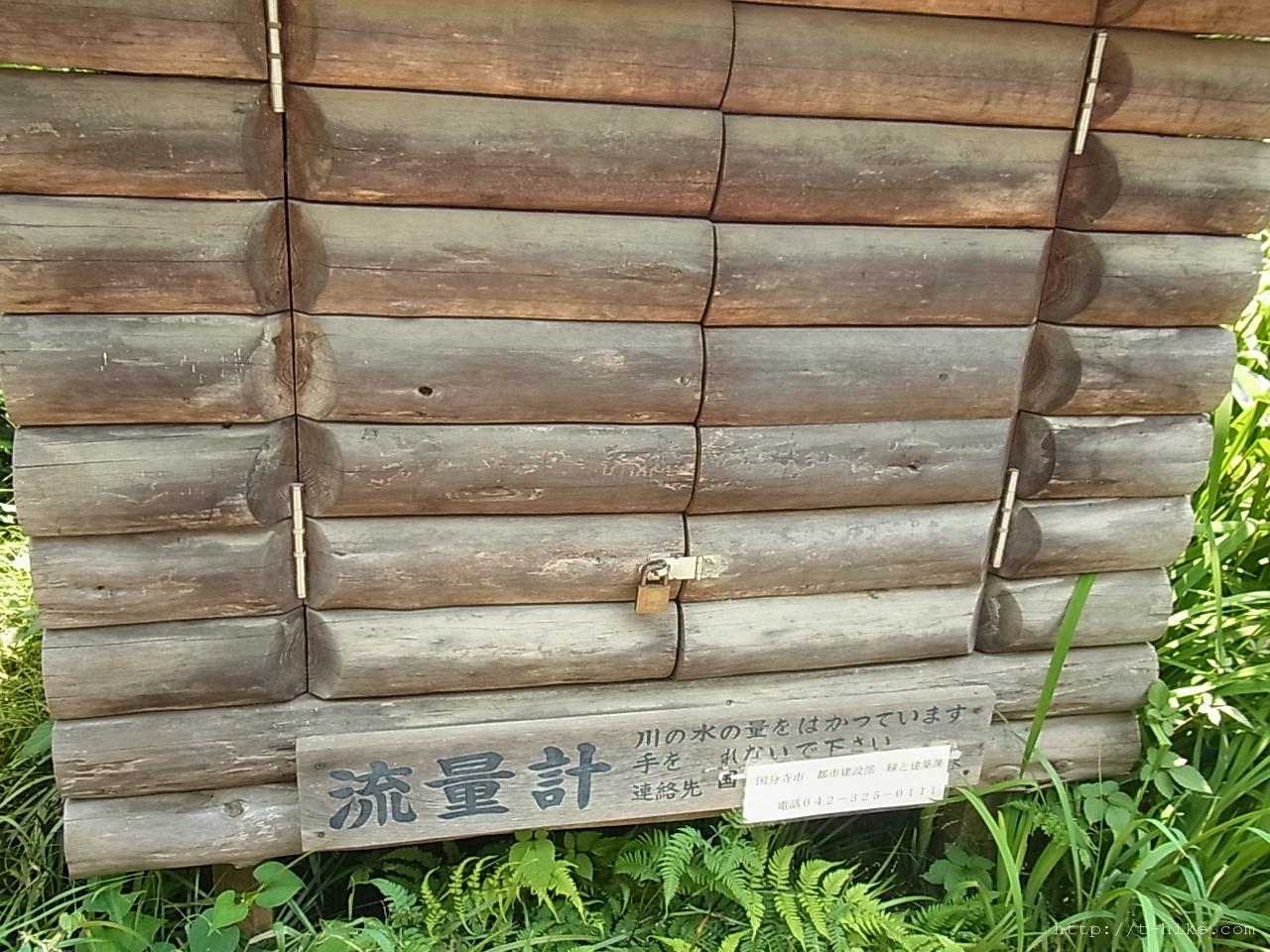 RIMG0905