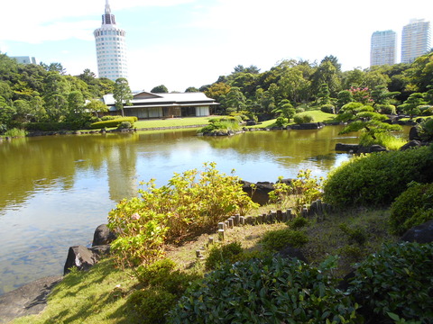 DSCN6133