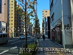 RIMG0009