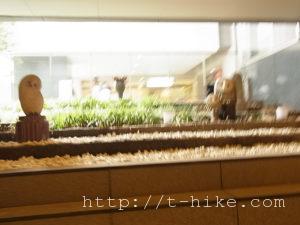 RIMG0922