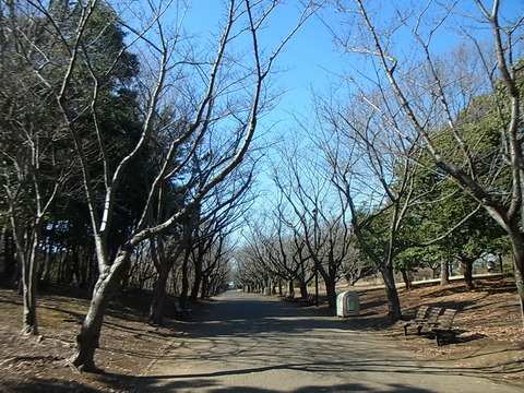 RIMG0663