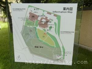 RIMG0841