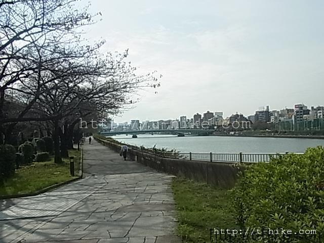 RIMG0684