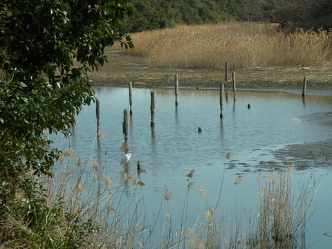 RIMG0664