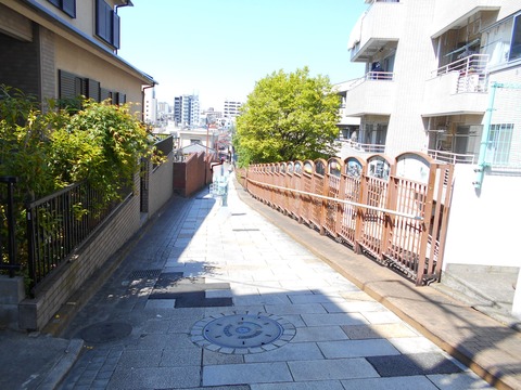 DSCN8402 (2)