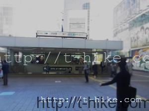 RIMG0342