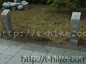 RIMG0307
