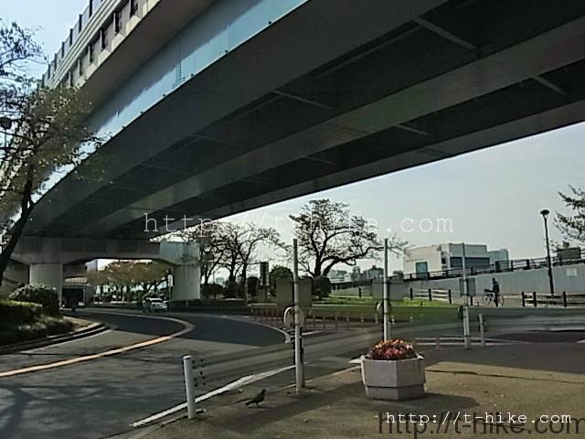 RIMG0666