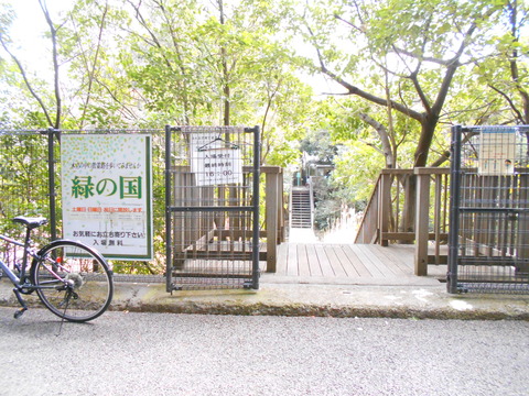 DSCN6768