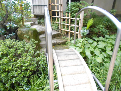 DSCN6299