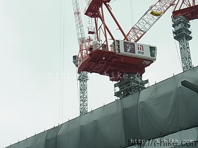 RIMG0051