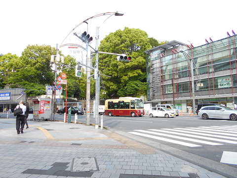 DSCN8561