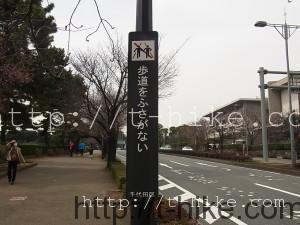 RIMG0517