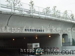 RIMG0326