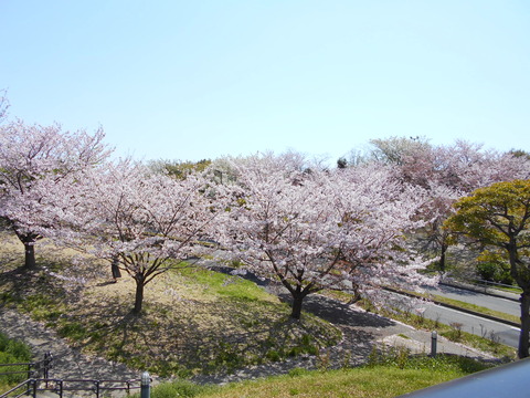 DSCN7306