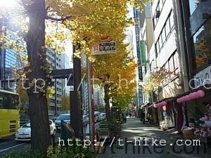 RIMG0110
